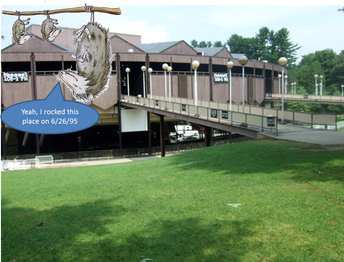 phish-spac-possum-95